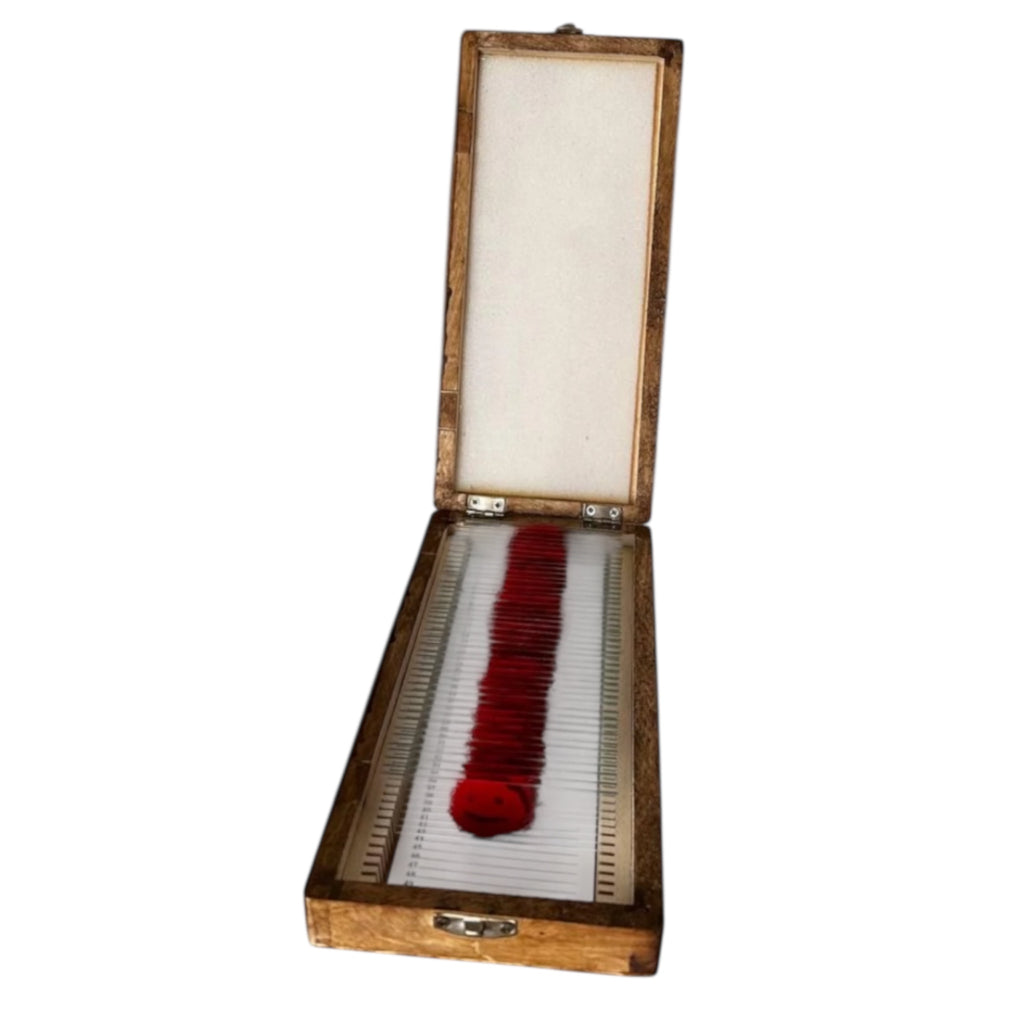 Dark Passenger Bundle